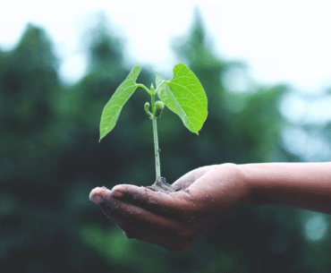 A person holding a growing plant